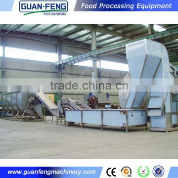 High efficient vegetables and fruits IQF frozen line