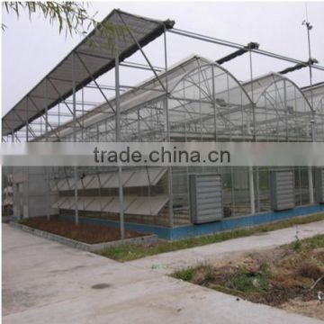 2016 low cost glass greenhouse agriculture for sale