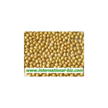 Isolate Soya protein(NON-GMO soybean)