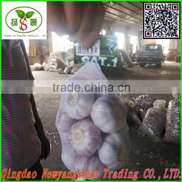 Pure white garlic/white garlic /organic garlic export
