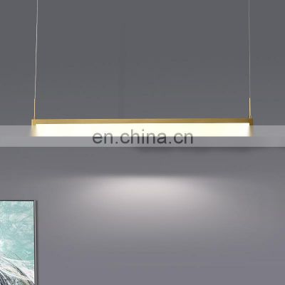 Modern Art LED Chandelier Indoor Home LED Pendant Light For Home Hotel Decor Long Hanging Lamp