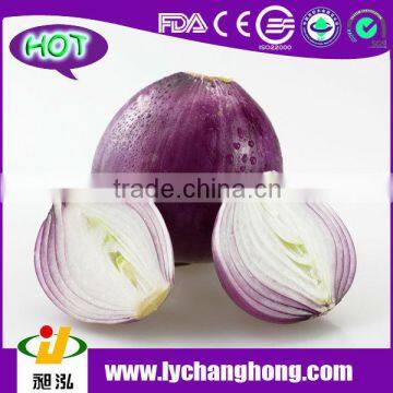 2014 Sichuan Fresh Red Onion Supplier from China/Market Price