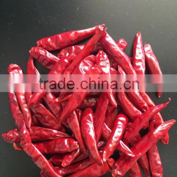 New Crop Chaotian Dried Chilli