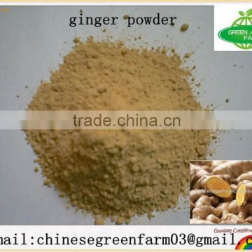 dried ginger powder with high quality in china