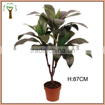 Indoor mini artificial dracaena plant with wide leaves for room decor