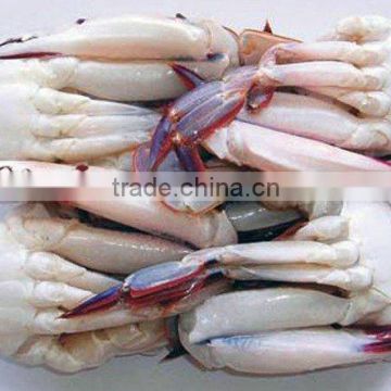 quality fresh alaskan king crab