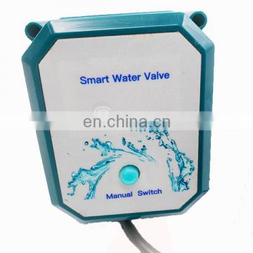 wifi valve CTF-001 10NM DN15 DN32 ss304 UPVC DC5V 2wires electric tuya smart wifi water valve