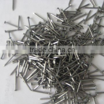 common nail polished bright or galvanized