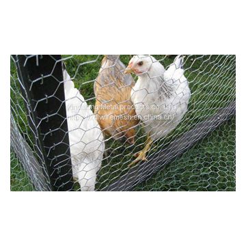 PVC Green Coated Chicken Wire Mesh