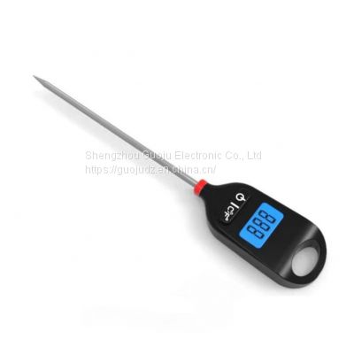 Digital BBQ Thermometer