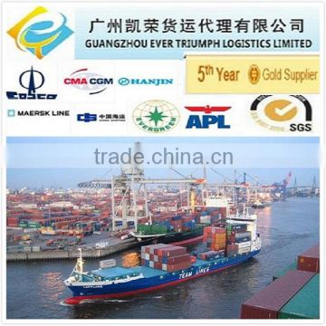 Cheap Sea freight from Guangzhou/Shenzhen/Shanghai China to Barcelona, Spain