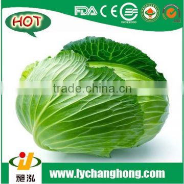 [Hot Sale] prices of white cabbage/white cabbage