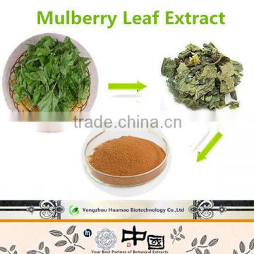 Competitive Price of Organic Mulberry Leaf Extract(1%-20%DNJ)
