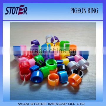 multi-color plastic pigeon ring