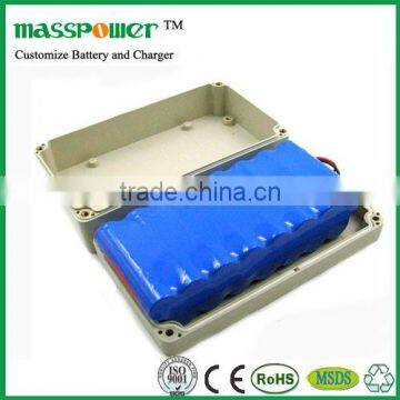 Professional factory 24v 5ah lithium battery