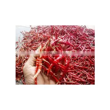 Spicy dried red chilli