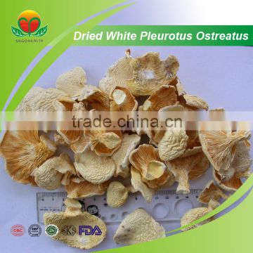 Most Popular White Dried Pleurotus ostreatus