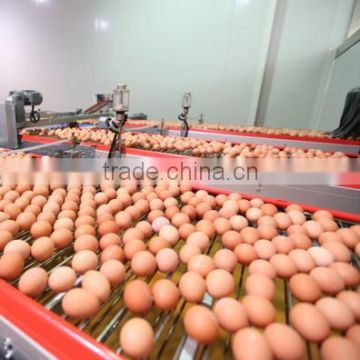 Center egg transporting system