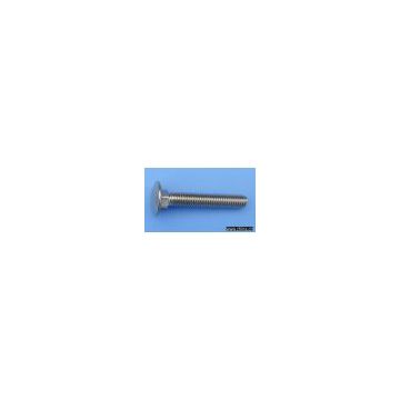 Stainless steel carriage bolts