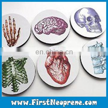 Human Organs Educational Patterns Neoprene Coaster