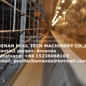 Côte d'Ivoire Chicken Farming H Frame Full Automatic Layer Chicken Cage & Hen Cage Ued in Chicken House