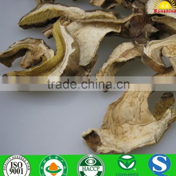 Wild dried boletus mushroom