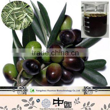 Natural Olive Leaf Extract 98% hydroxytyrosol oil