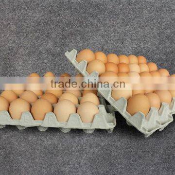 Paper Pulp Superior Quality Egg Packaging Tray