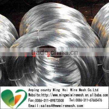 Galvanized Straighten Wire/Cutting Wire Galvanized/GI Cut Wire