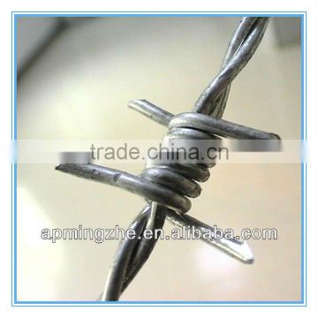 razor blade/wire fencing/barbed wire