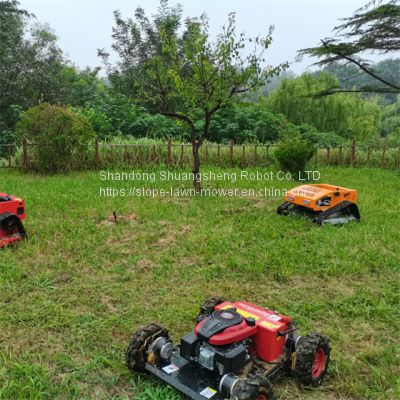 Remote-Controlled Lawn Mower China Manufacturer Factory Supplier Wholesaler