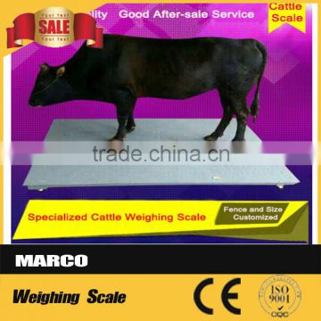 china 3Ton portable cattle scales manufacturer