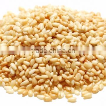 High Quality Sesame Seed