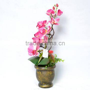 Tori Home Phalaenopsis Orchid Arrangement in A Container