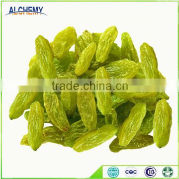 best quality green raisin and raisin for selling