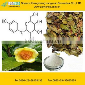 Uva Ursi Leaf Extract with Arbutin and Ursolic Acid from GMP Factory