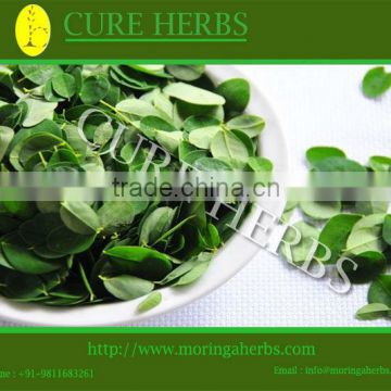 best dry moringa leaf