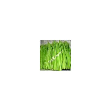 Sell IQF Asparagus