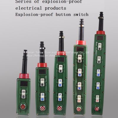 Manufacturers Supply Bak-63 explosion-proof button switch