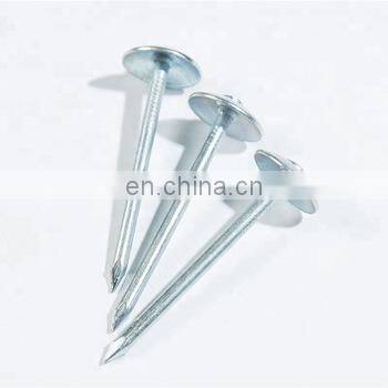 Umbrella Head Roofing Nails/Corrugated Nails Galvanized Twisted Shank