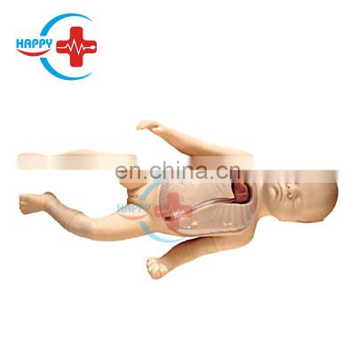 HC-S517 Advanced clinical newborn model neonatal peripheral central venous intubation model