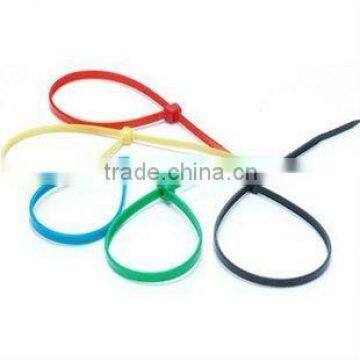 Releasable Cable tie