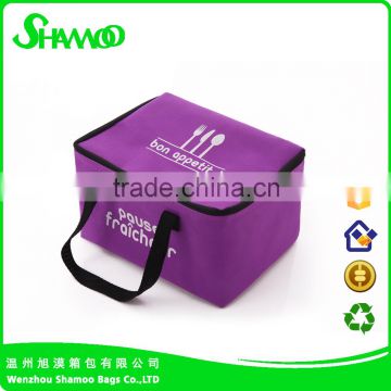 New recycle polyester cooler bag for frozen food