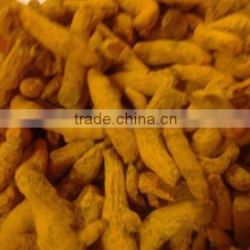 Indian Dried whole Turmeric Finger competitive Price and seller