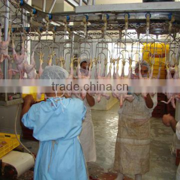 chicken slaughter equipment conveyor
