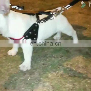 Bright Crystal Mesh Cloth Pet Creative Collar Comfortable Leash Training Dog Rope Pet Neck Chain Pet Supplies