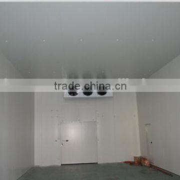 High Quality Freezer Room for Fruit and Vegetable