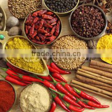 various whole spice powder & hers wholesale /distributor