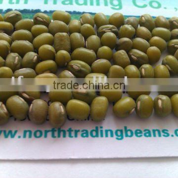 Green Mung Bean/Mung beans ( 2010 Crop, sprouting type, supermarket type, hps qualtiy)