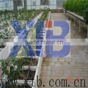 China manufacturer cheap hydroponic greenhouse